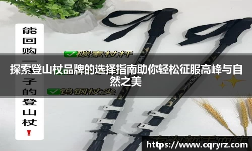 探索登山杖品牌的选择指南助你轻松征服高峰与自然之美